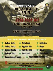 WhatsApp Image 2025-11-18 at 11.20.40 PM